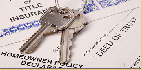 Property & Casualty Insurance